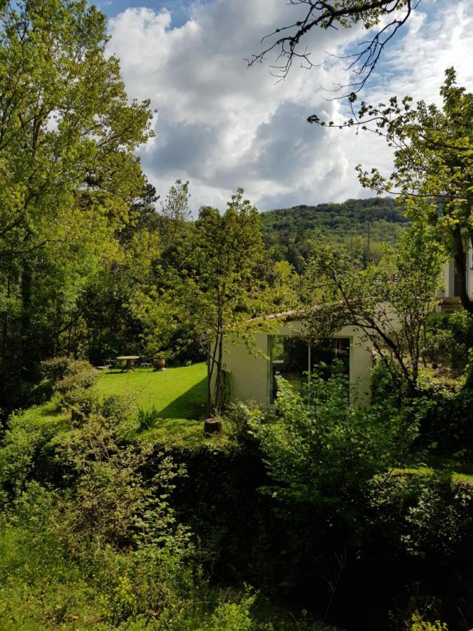 Beautiful Studio Surrounded By Nature Lanet Екстериор снимка