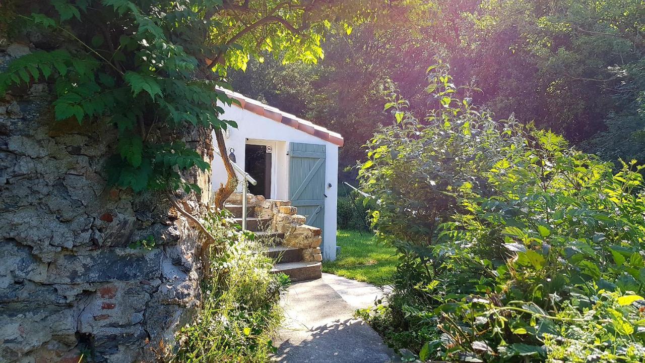 Beautiful Studio Surrounded By Nature Lanet Екстериор снимка