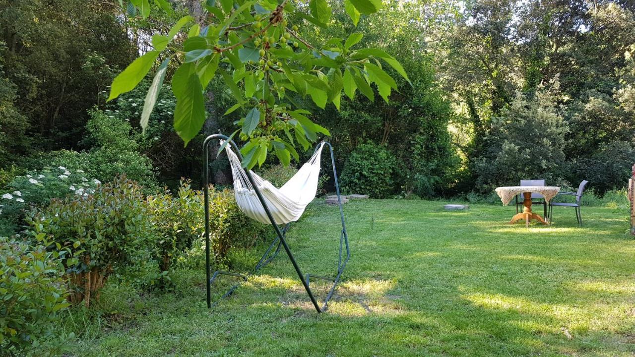 Beautiful Studio Surrounded By Nature Lanet Екстериор снимка